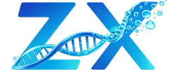 ZX- Peptide