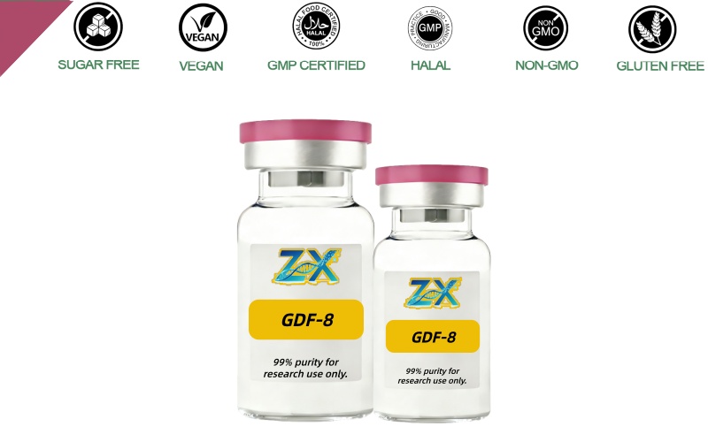GDF-8