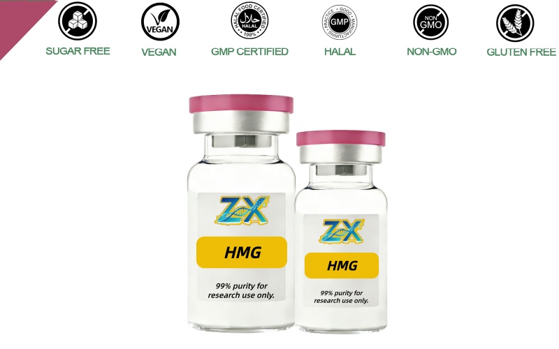 HMG